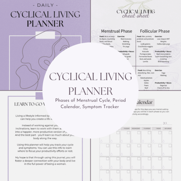 Blissfully Hormonal Meal Plan Bundle - Image 3