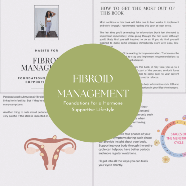 Blissfully Hormonal Meal Plan Bundle - Image 4